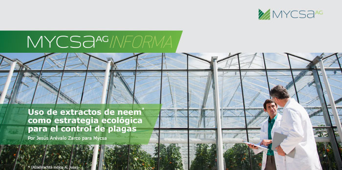 Aceite de Neem  Plantas libre de plagas – Bloommart Colombia
