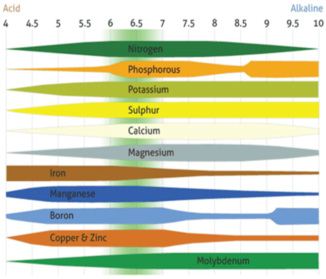 PH and Its Effects on our Crops’ Soil, learn more here